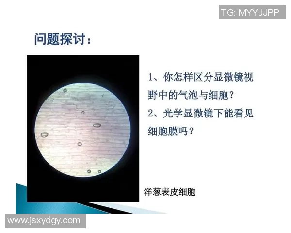 几号的篮球与球场表现的关系探讨及其对运动员选择的影响分析 几号的篮球与球场表现的关系探讨及其对运动员选择的影响分析