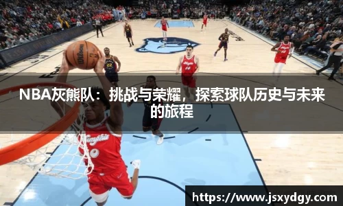 NBA灰熊队：挑战与荣耀，探索球队历史与未来的旅程